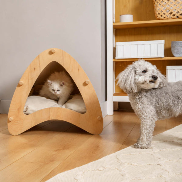 Pet Beds & Furniture