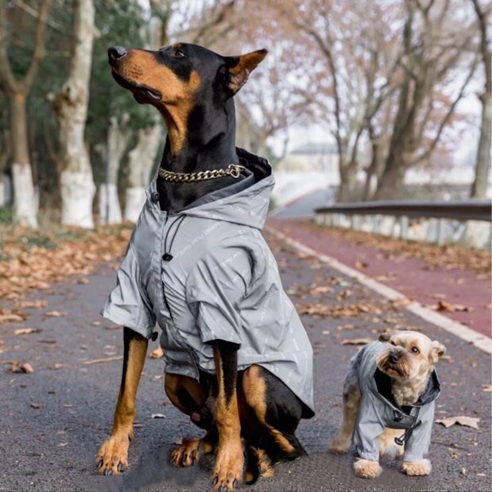 Non-Furry Windproof Pet Clothing For Dogs