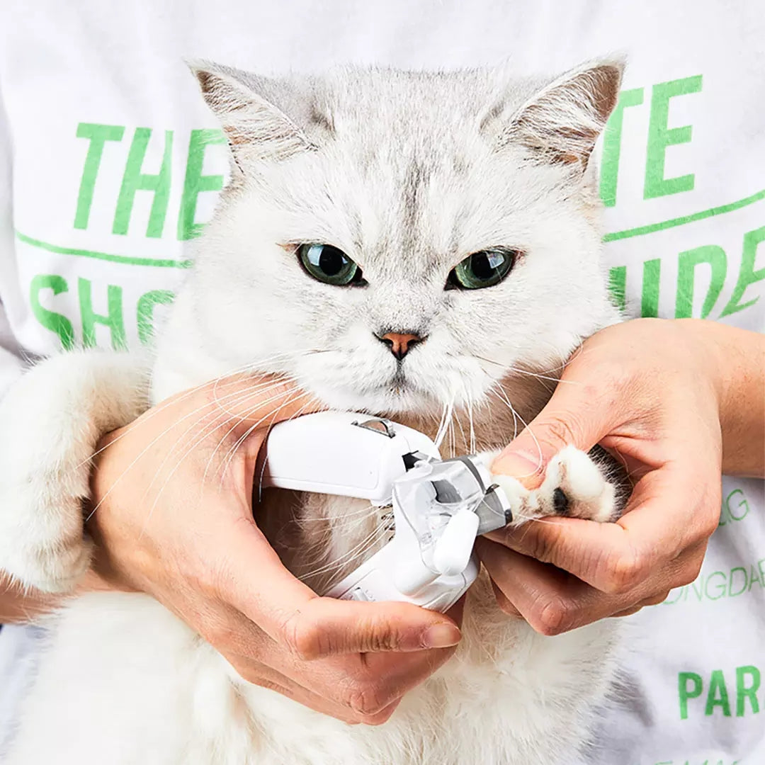 Professional LED Pet Nail Clipper Scissors