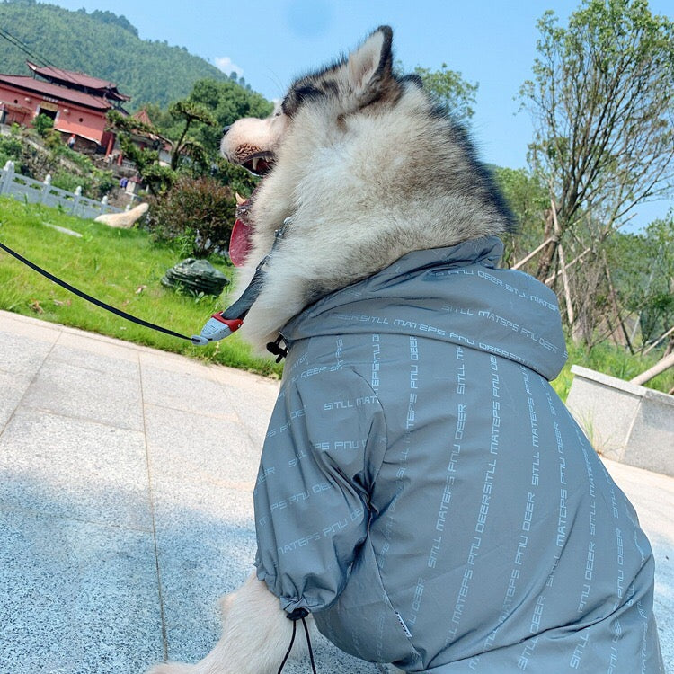 Non-Furry Windproof Pet Clothing For Dogs