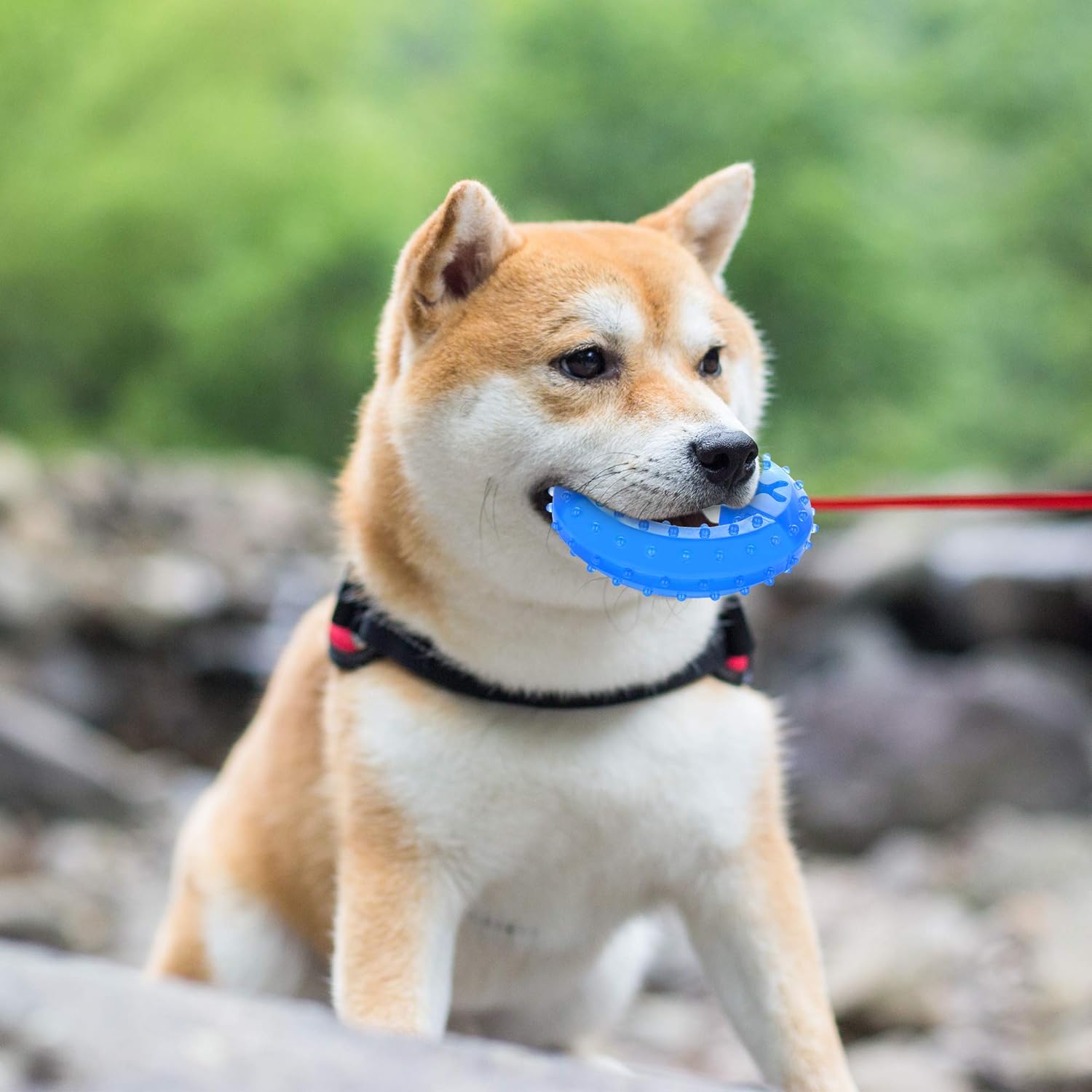 Cooling Dog Teether Chew Toy Treat Dispensing