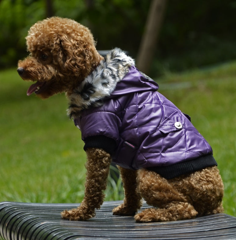 Warm Fur Collar Dog Coat For Winter