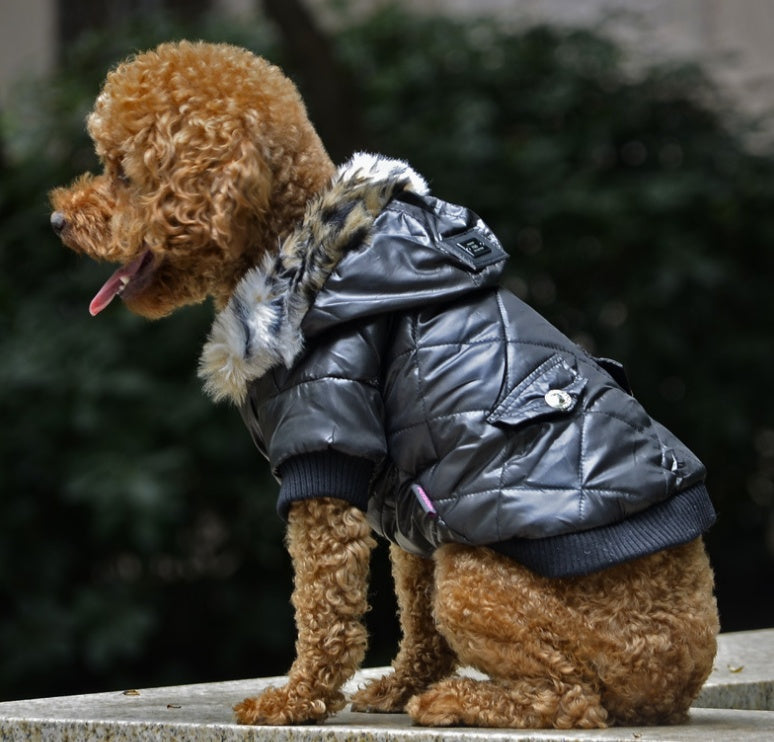 Warm Fur Collar Dog Coat For Winter