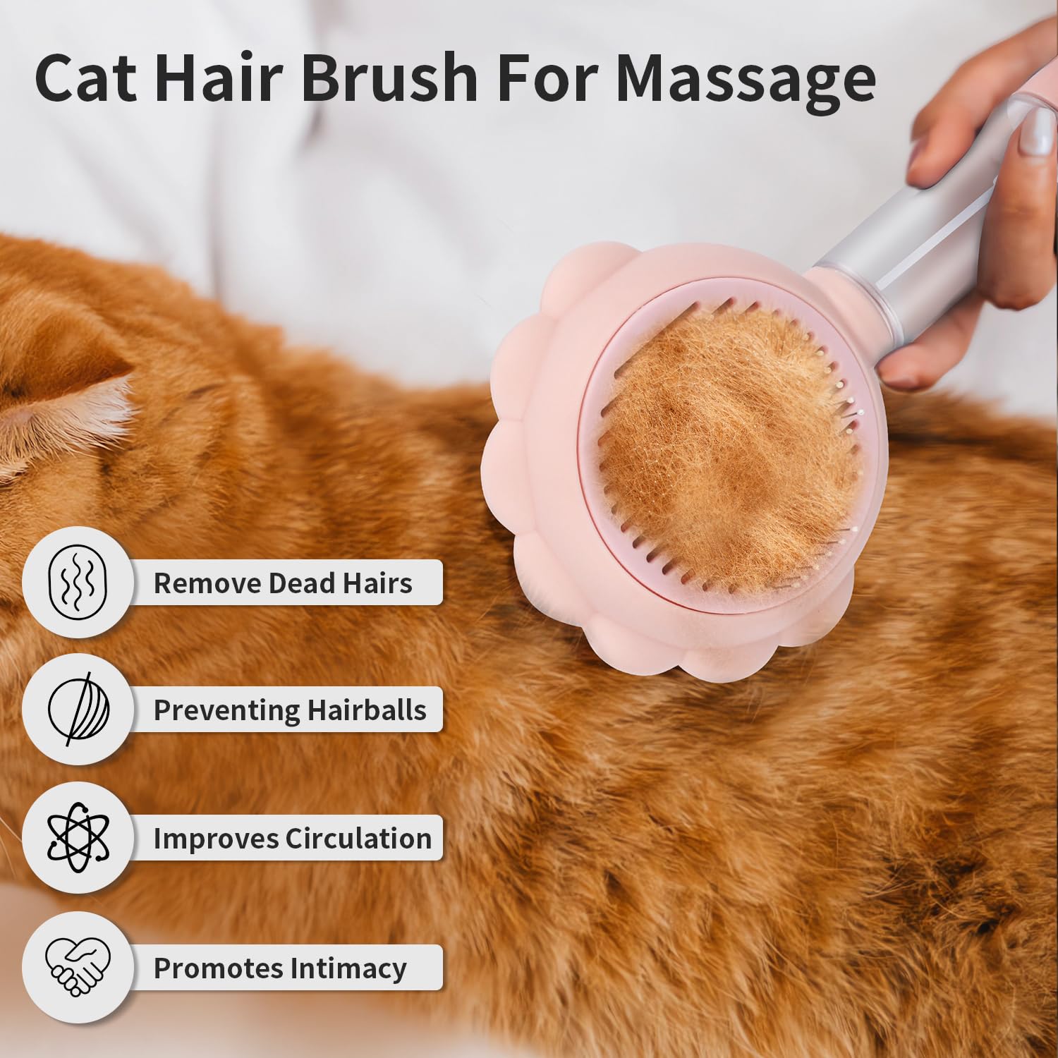 Self-Cleaning Spray Slicker Brush For Cats