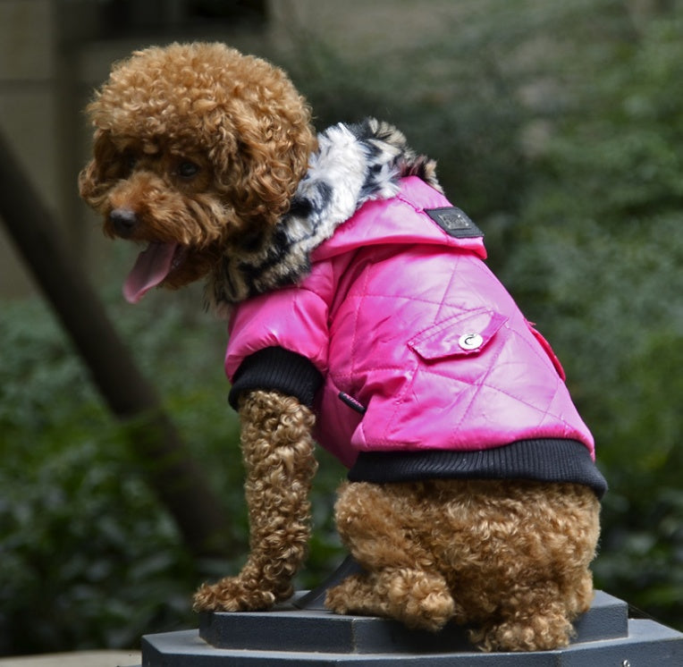 Warm Fur Collar Dog Coat For Winter