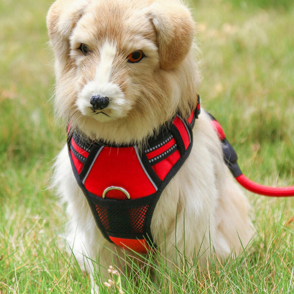 Reflective No-Pull Dog Harness With Leash