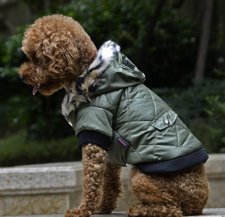 Warm Fur Collar Dog Coat For Winter