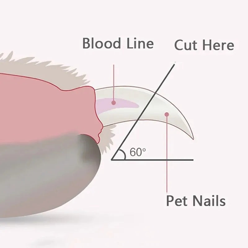 LED Light Pet Nail Clippers For Dogs Cats