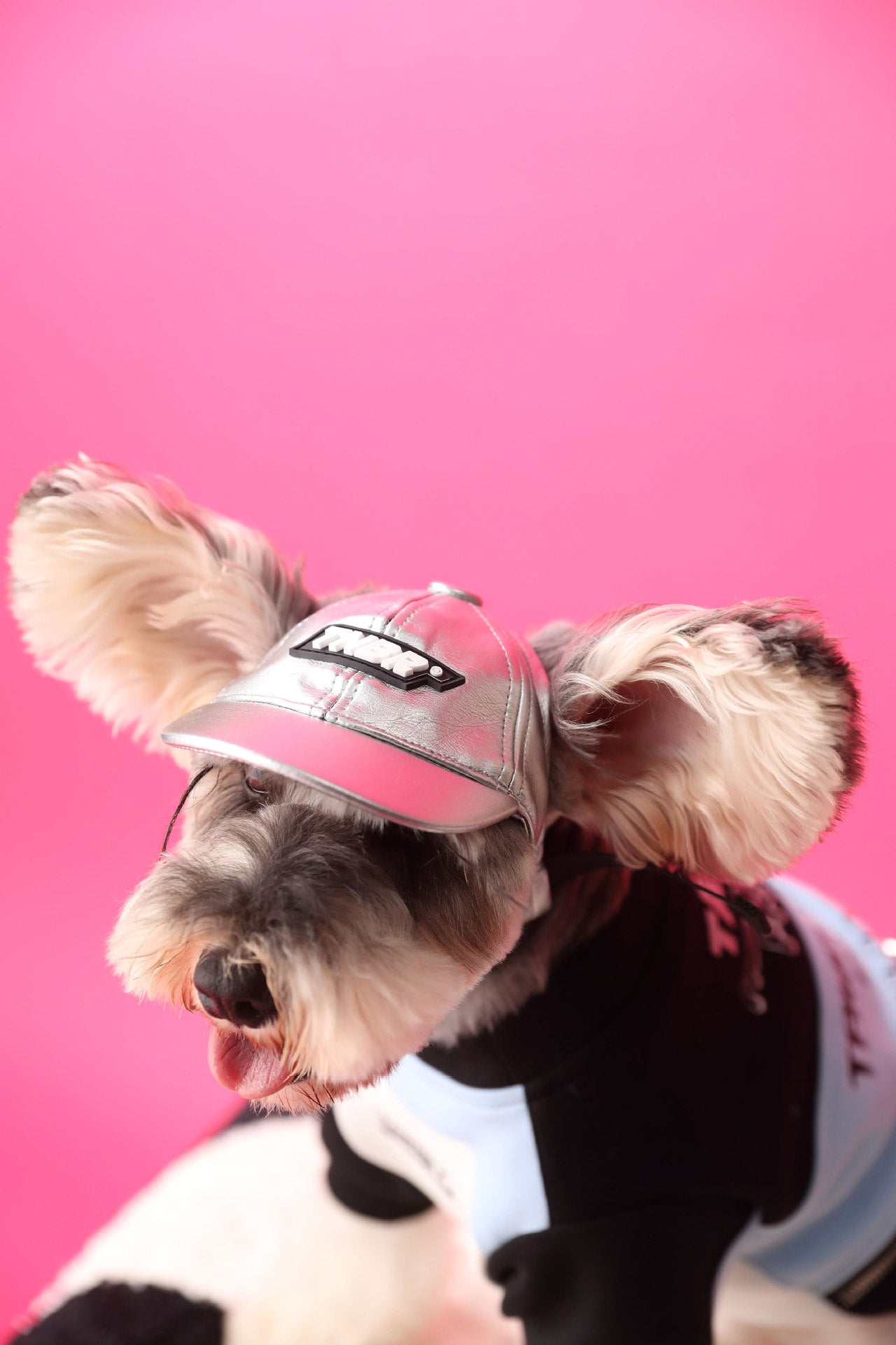 Zipper Pullover Sweater For Dogs