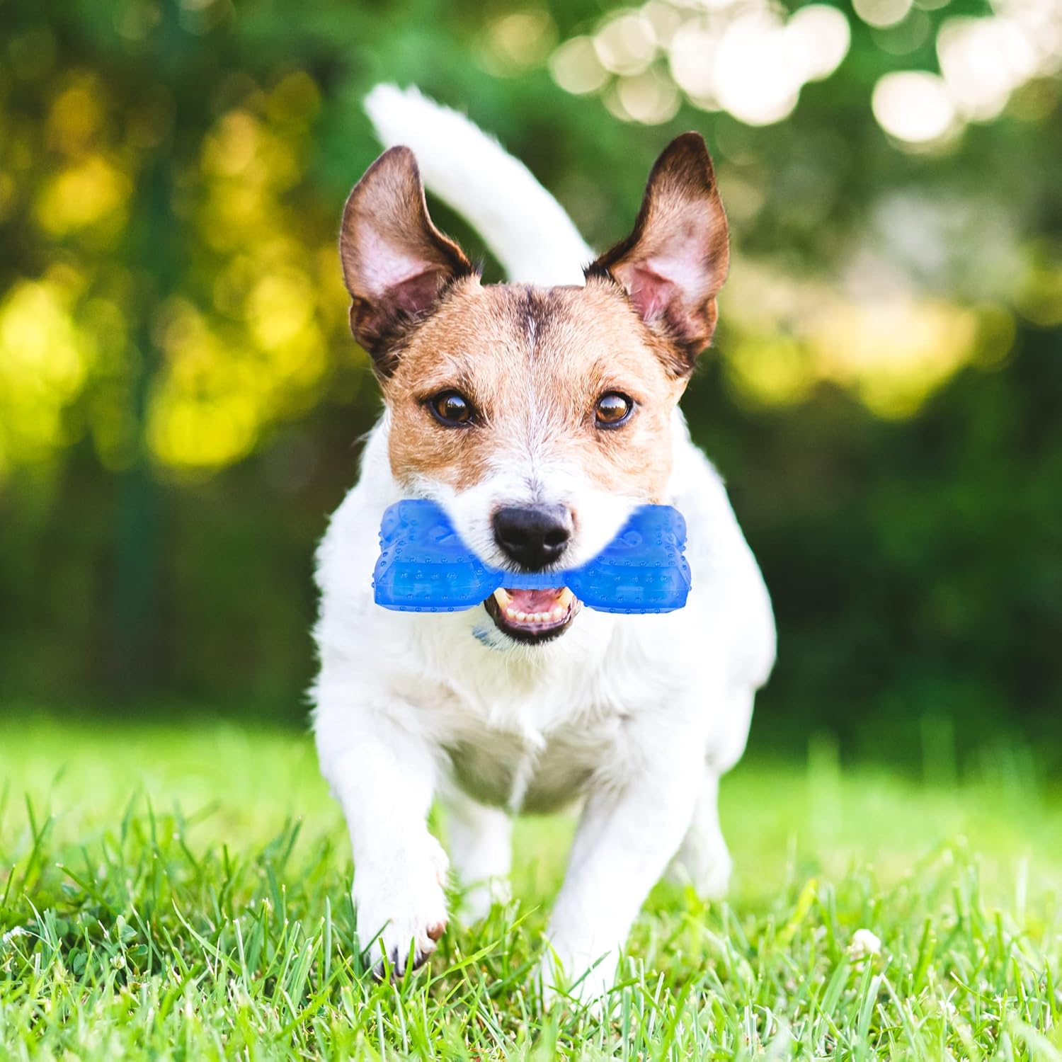 Cooling Dog Teether Chew Toy Treat Dispensing