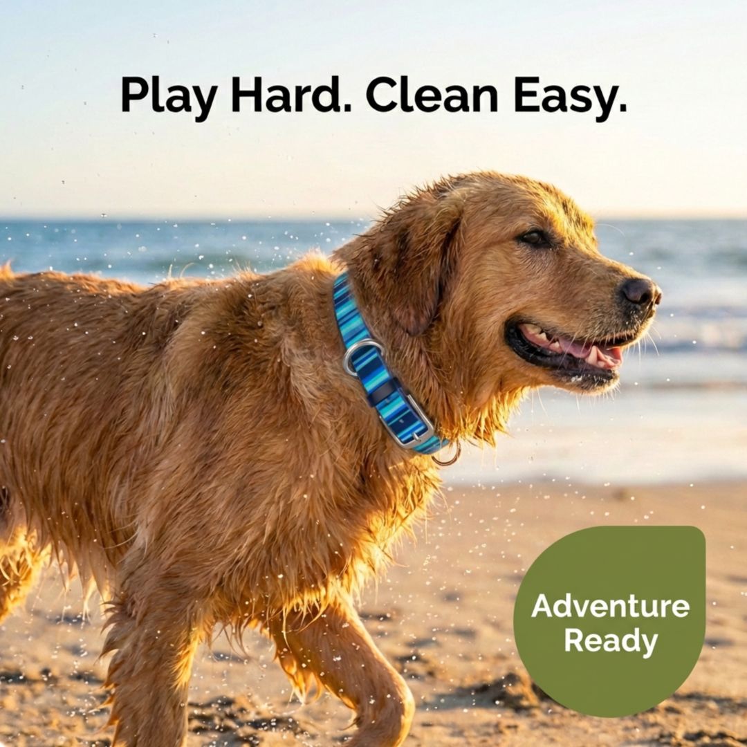 Waterproof Washable Durable Dog Collar