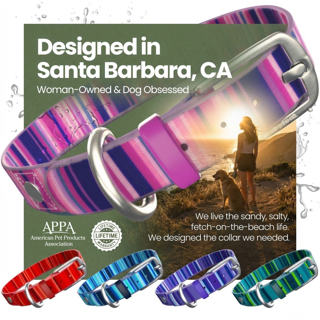Waterproof Washable Durable Dog Collar