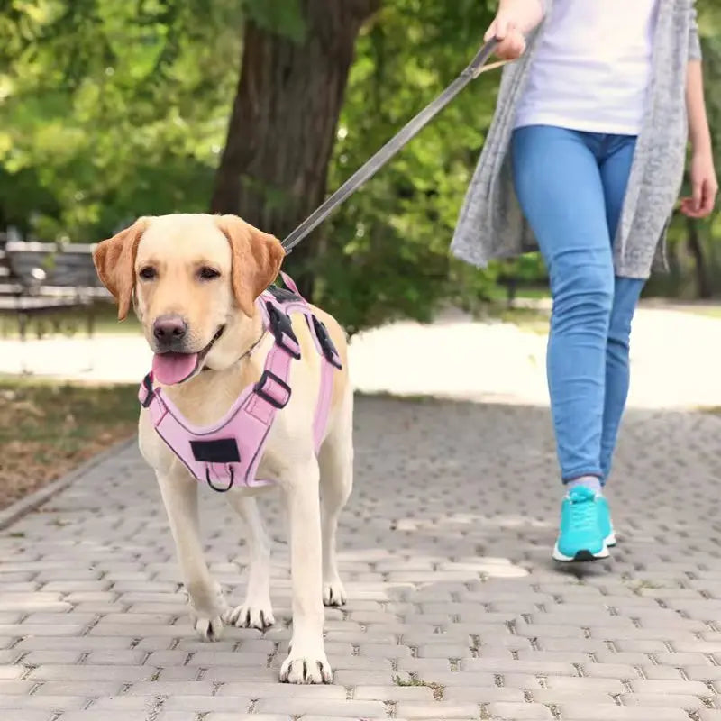 No-Pull Adjustable Dog Harness With Locator Cover