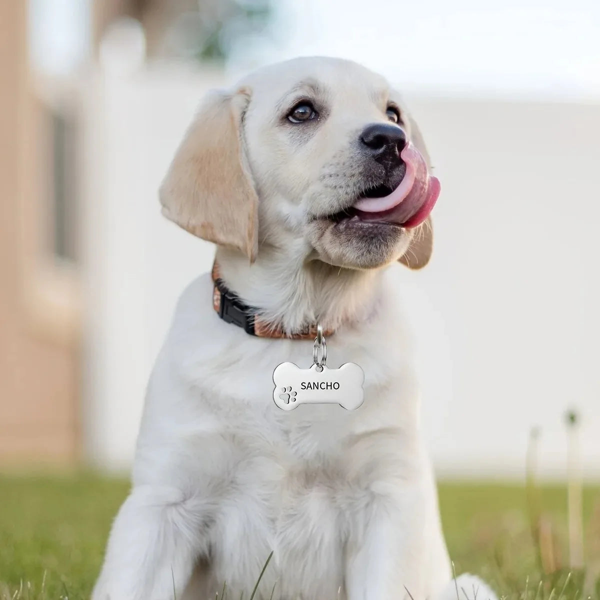 Personalized Dog Cat ID Tag | Custom Engraved Bone Shaped Pet Pendant