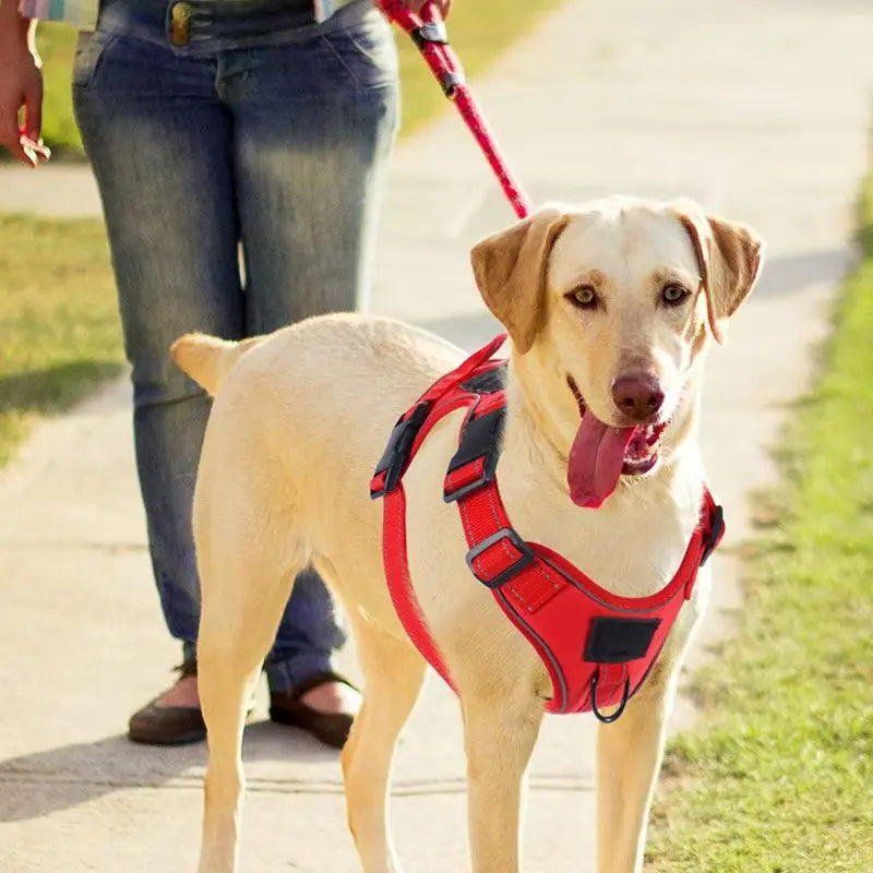 No-Pull Adjustable Dog Harness With Locator Cover