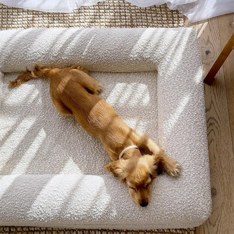 Luxury Waterproof Memory Foam Dog Bed