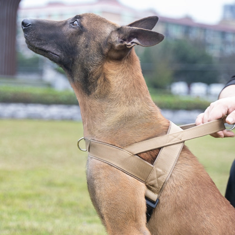Vest Style Dog Collar And Harness
