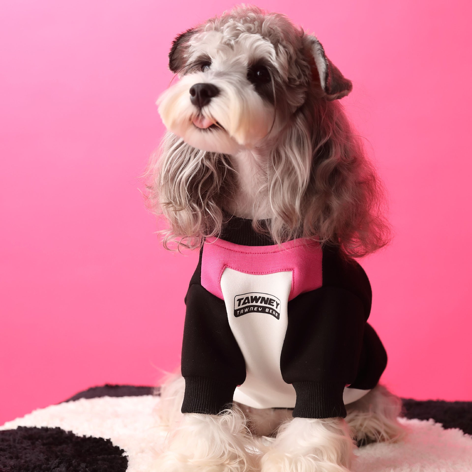 Zipper Pullover Sweater For Dogs