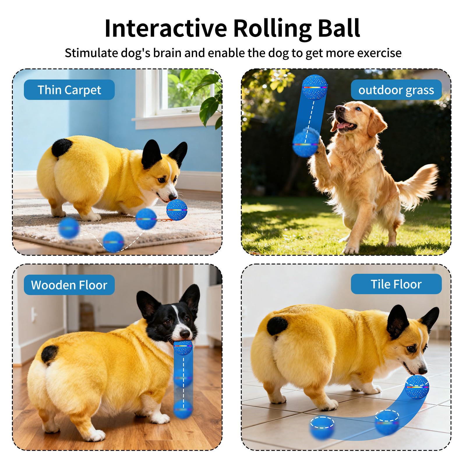 Tough Smart Moving Bouncing Dog Ball Interactive