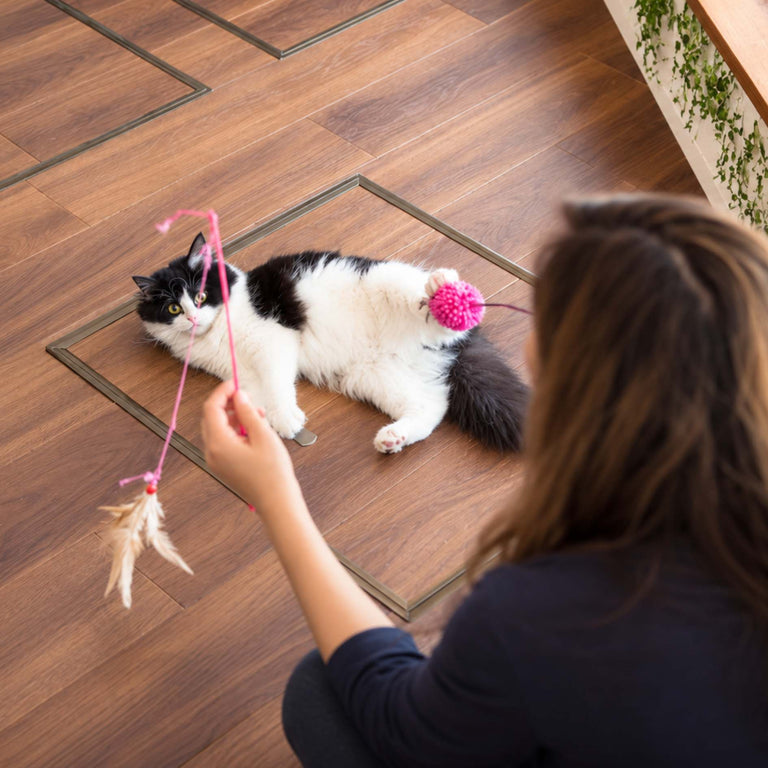 A woman plays with a black and white cat on a wooden floor using a pink feather wand toy.