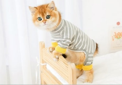 Anti-Shedding Four-Legged Cat Clothing