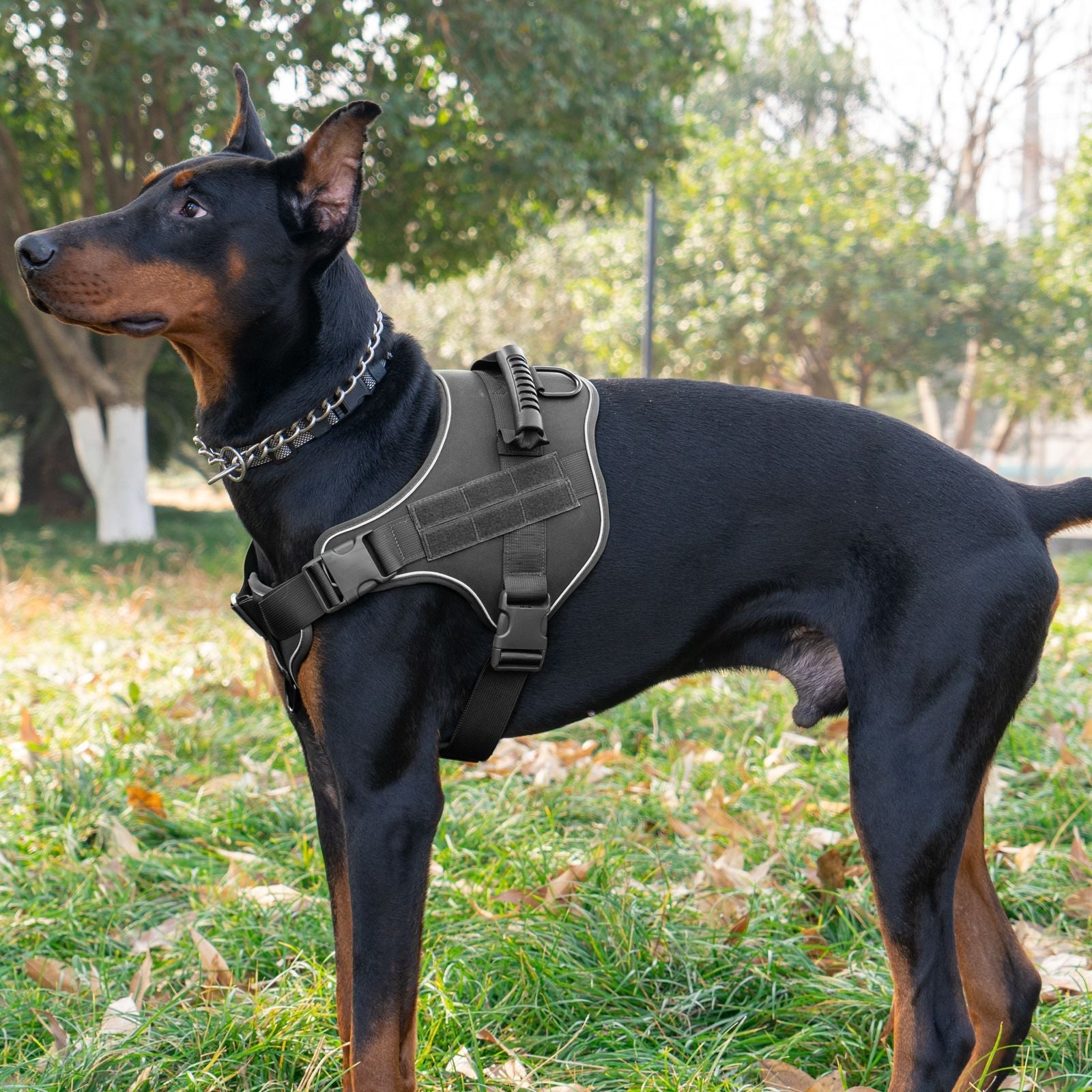Breathable Tactical Harness For Large Dogs