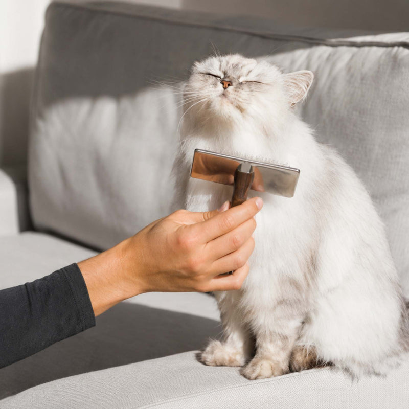 A fluffy white cat sits on a light gray sofa while a person holds a silver pet grooming brush against its neck. The person's hand and arm are visible, and the scene is set in a real home environment.